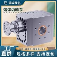 瑞成熔體計(jì)量泵