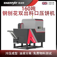 BM-D1090恩派特160吨钢刨花双出料口压饼机